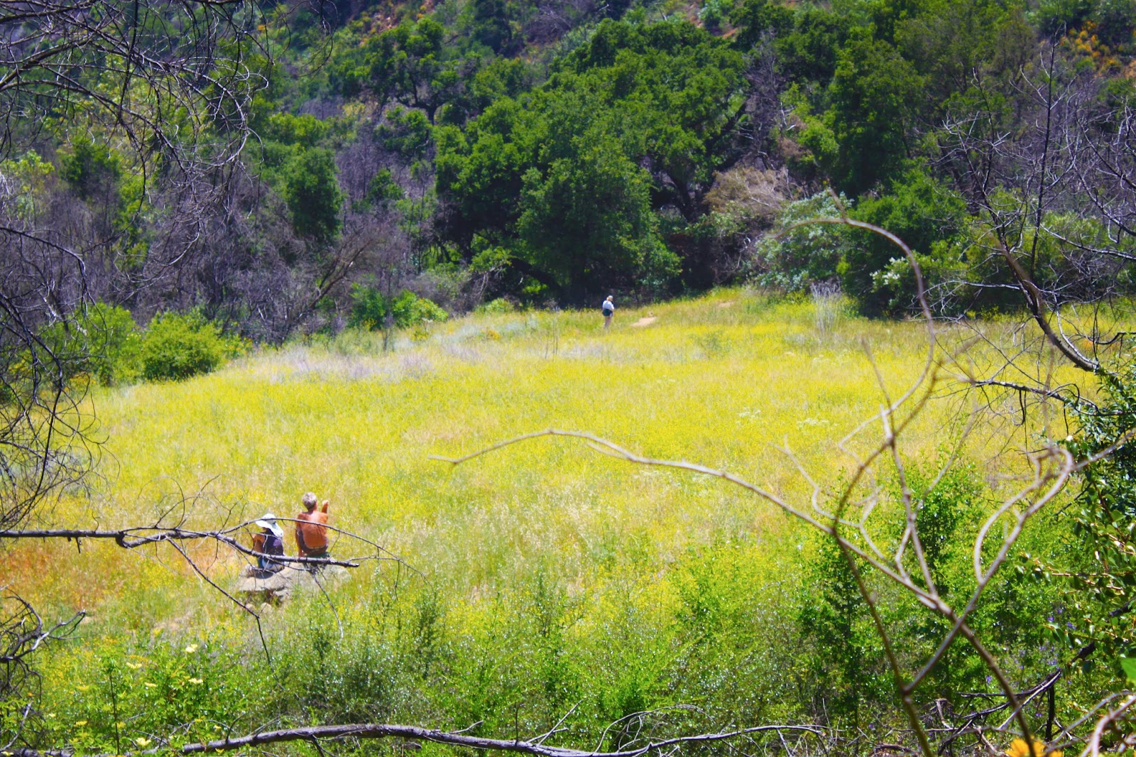 KenKen Photoblog Santa Barbara Hiking Trails Rattlesnake Canyon