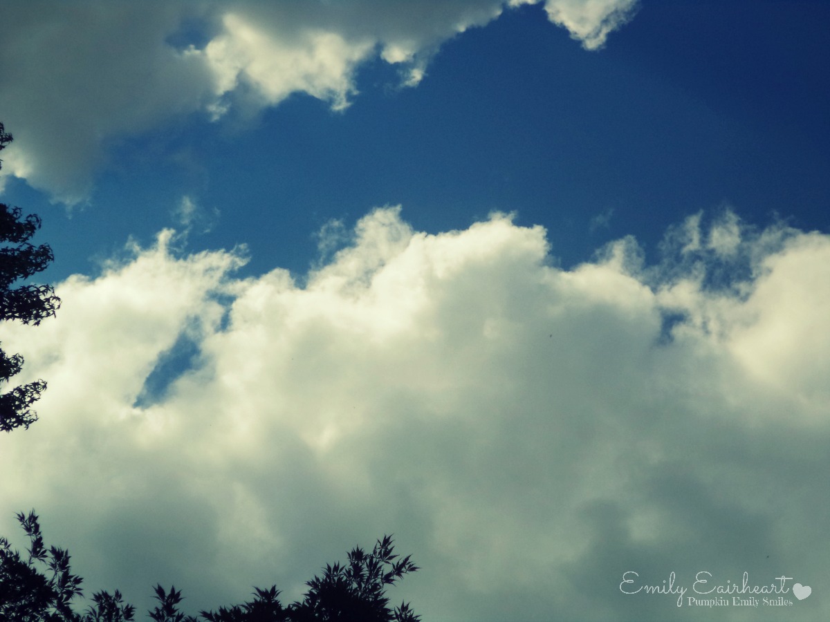 Cloud that looks like a seahorse.