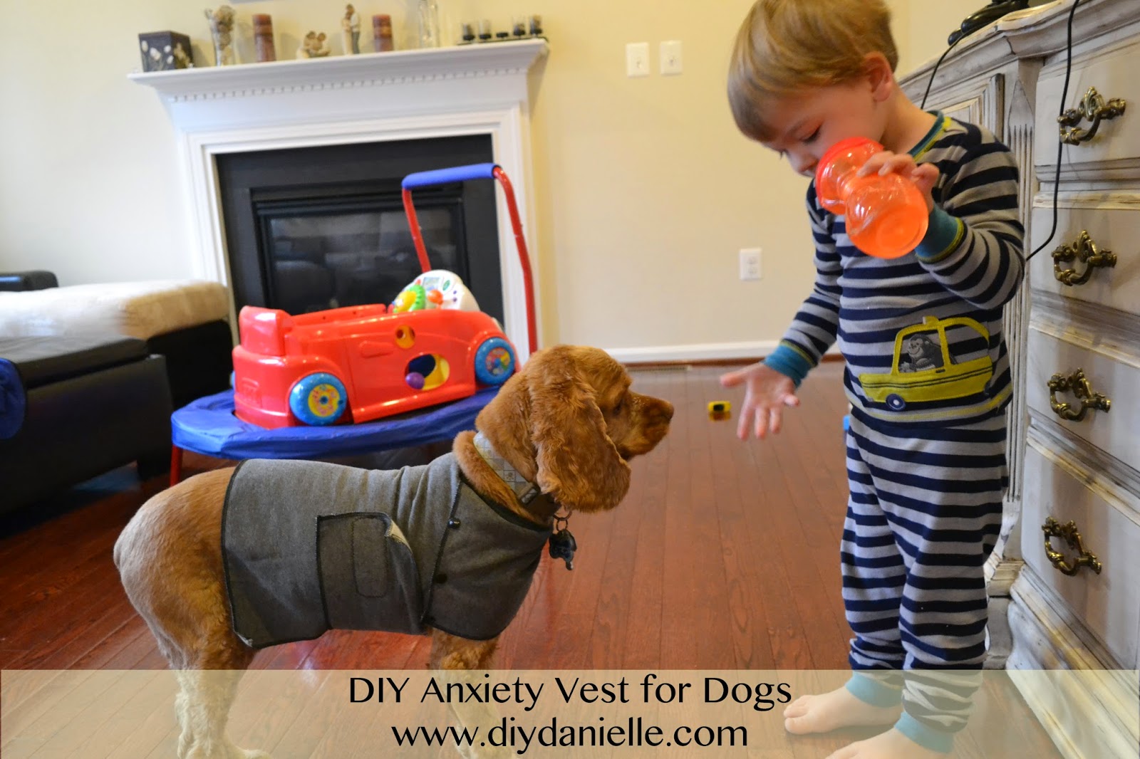 DIY Anxiety Vest for Dogs How to make your own anxiety vest for dogs