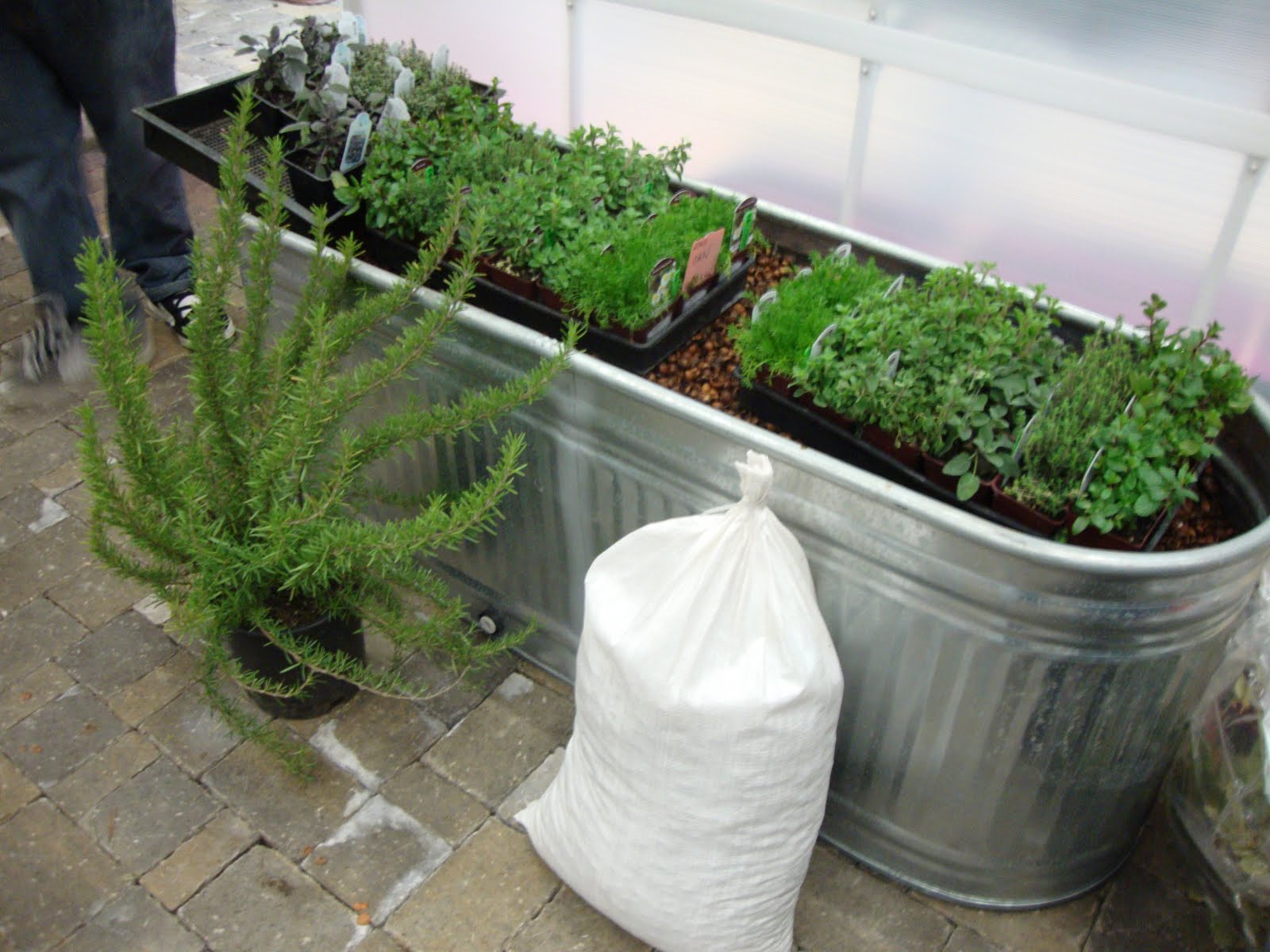 danger garden: 2011 Yard, Garden & Patio Show…"Bring Life Outside"