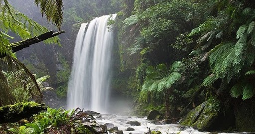 Lingkungan PENGERTIAN LINGKUNGAN MENURUT PARA AHLI