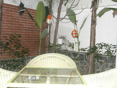 Cảnh này ở đâu ? - 41