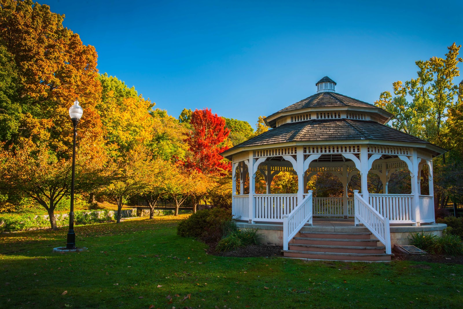 Your Shutter Buddy's USA tours Fall and Spring