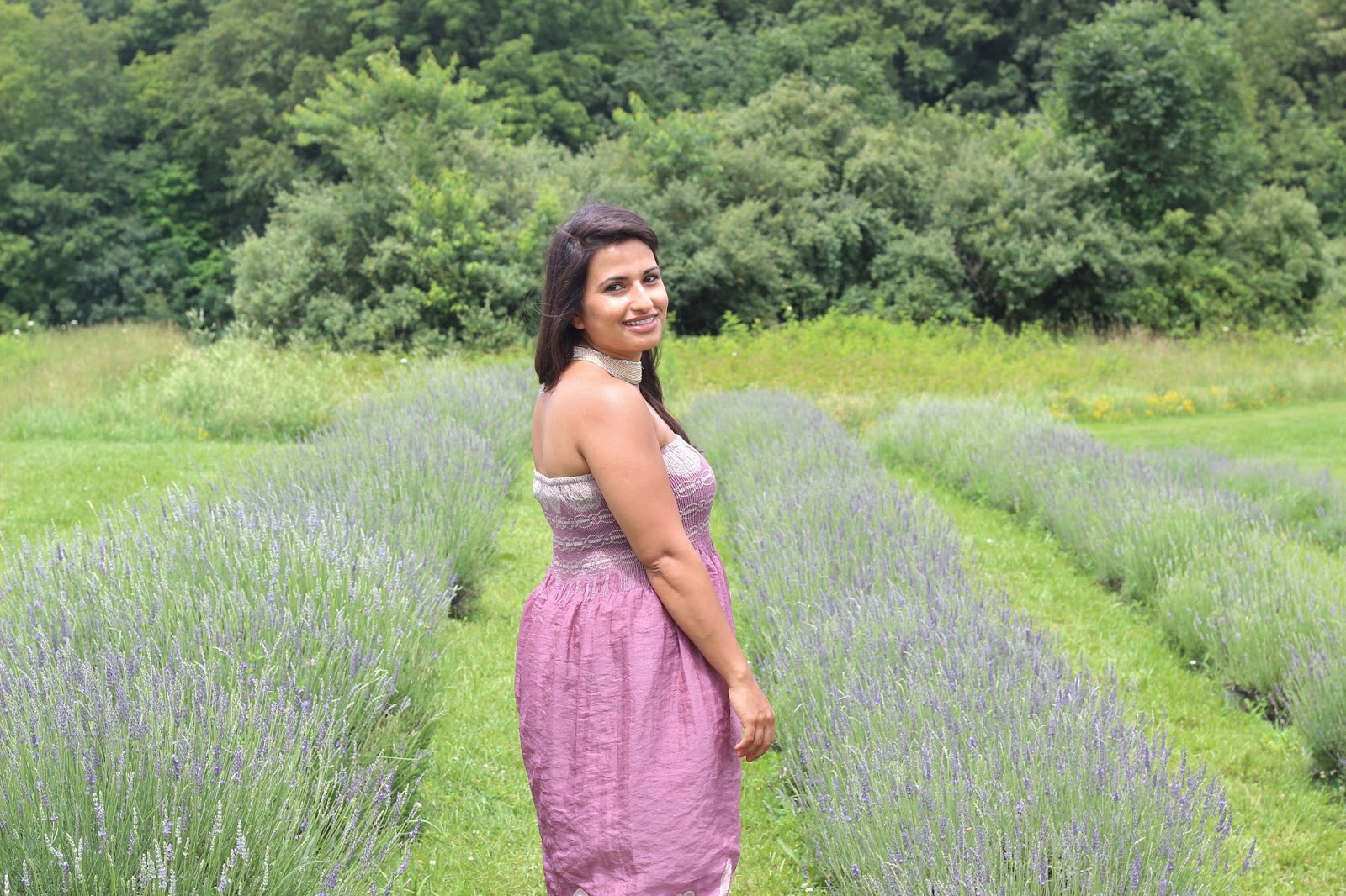 Lavender Maxi at the Lavender Farm Dina's Days