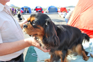 My Thoughts and My Creativity: May 2011