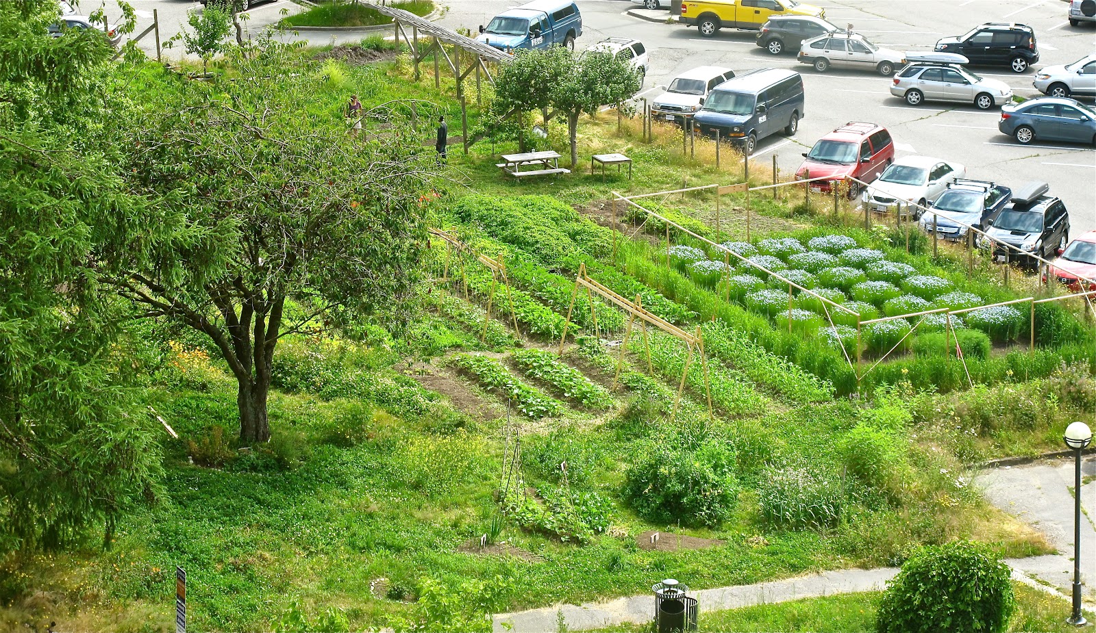 Orchard Garden