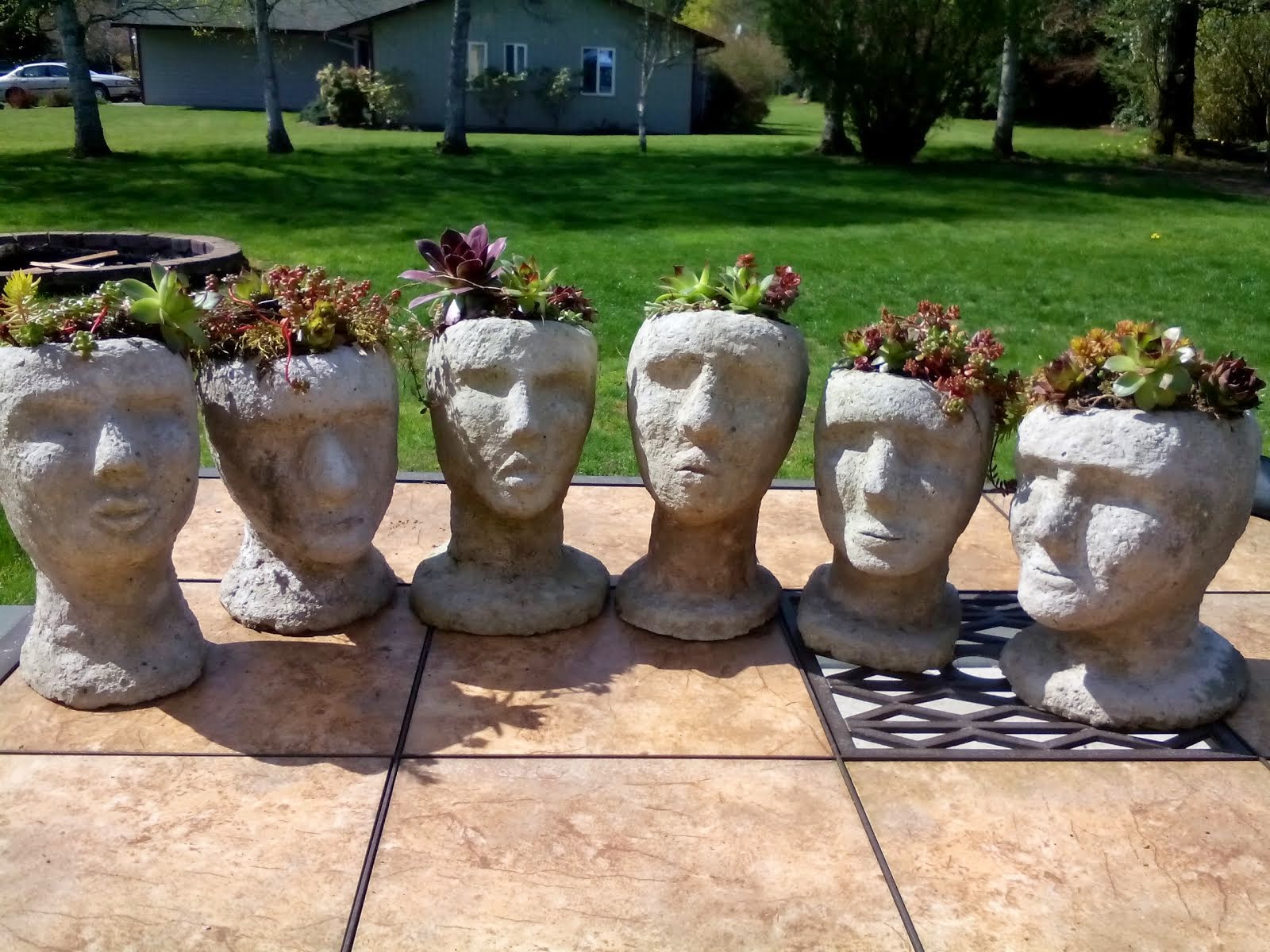 Head planters