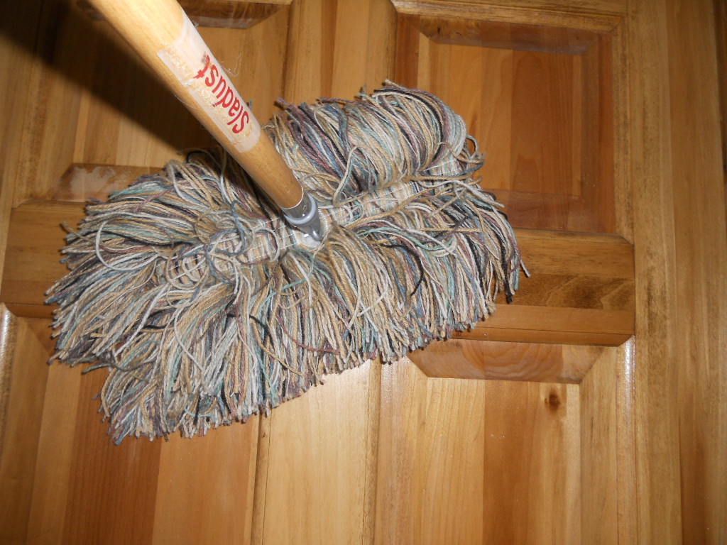 A YEAR OF JUBILEE REVIEWS SlaDust World's Finest Wool Dust Mop Review