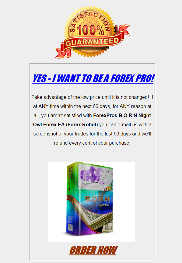 Forex night owl