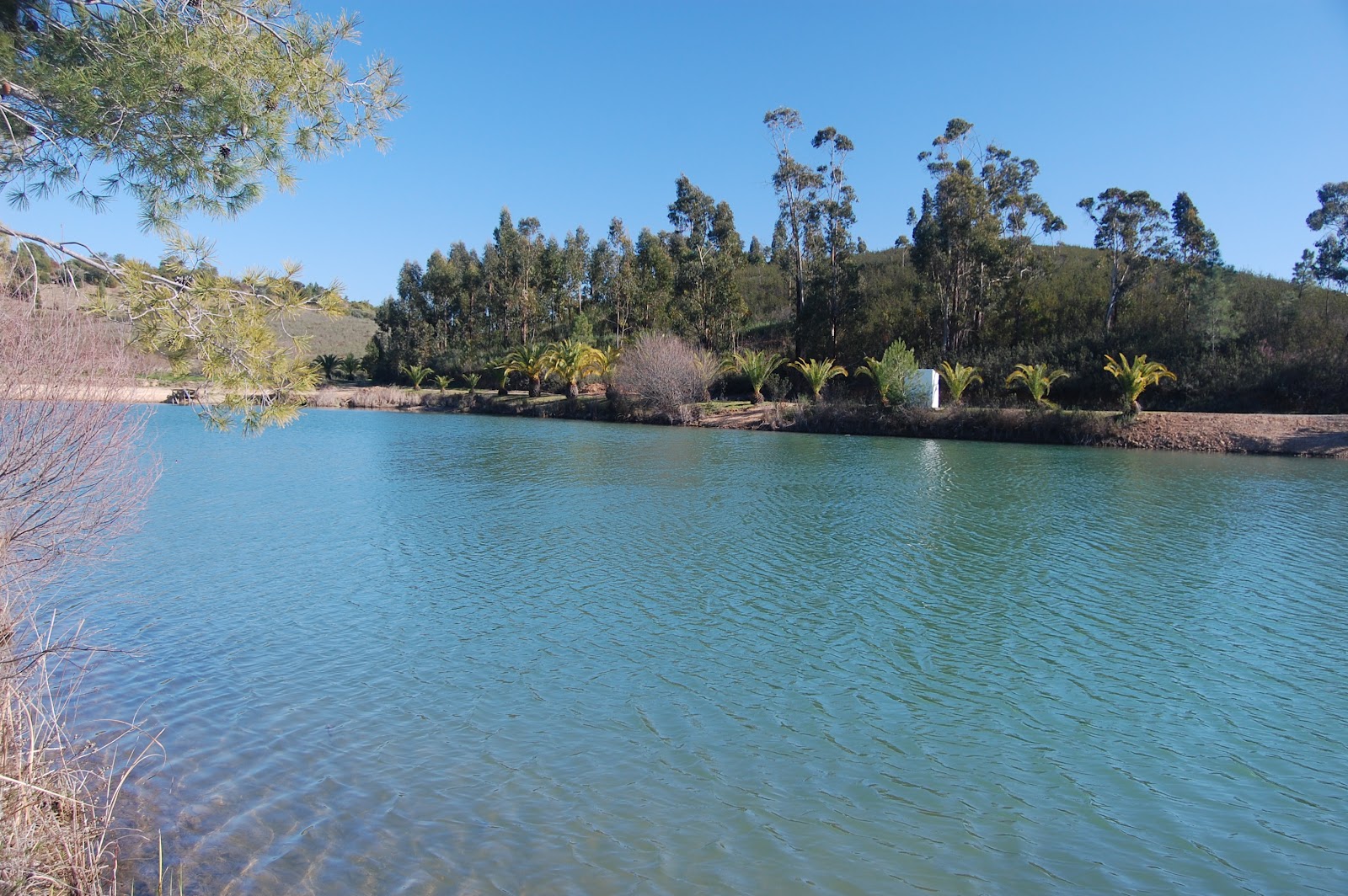 Hideaway Lakes Portugal Algarve Carp Fishing About Blog