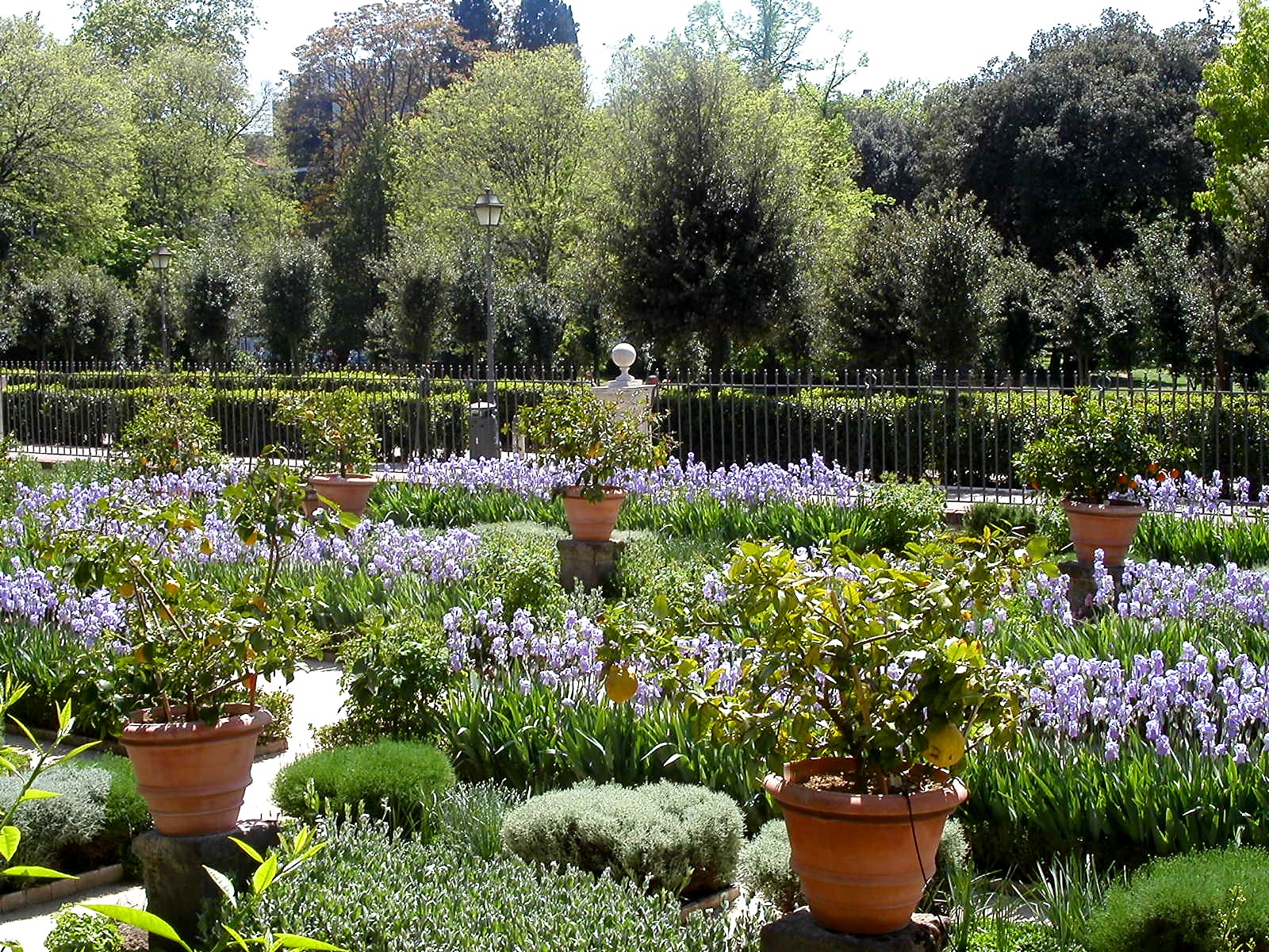 Baroque Garden