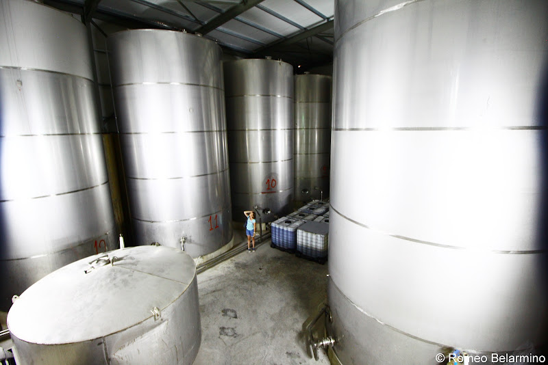 Anoskeli Olive Oil Tanks Things to Do in Crete