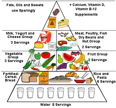 guide pyramid.gov food