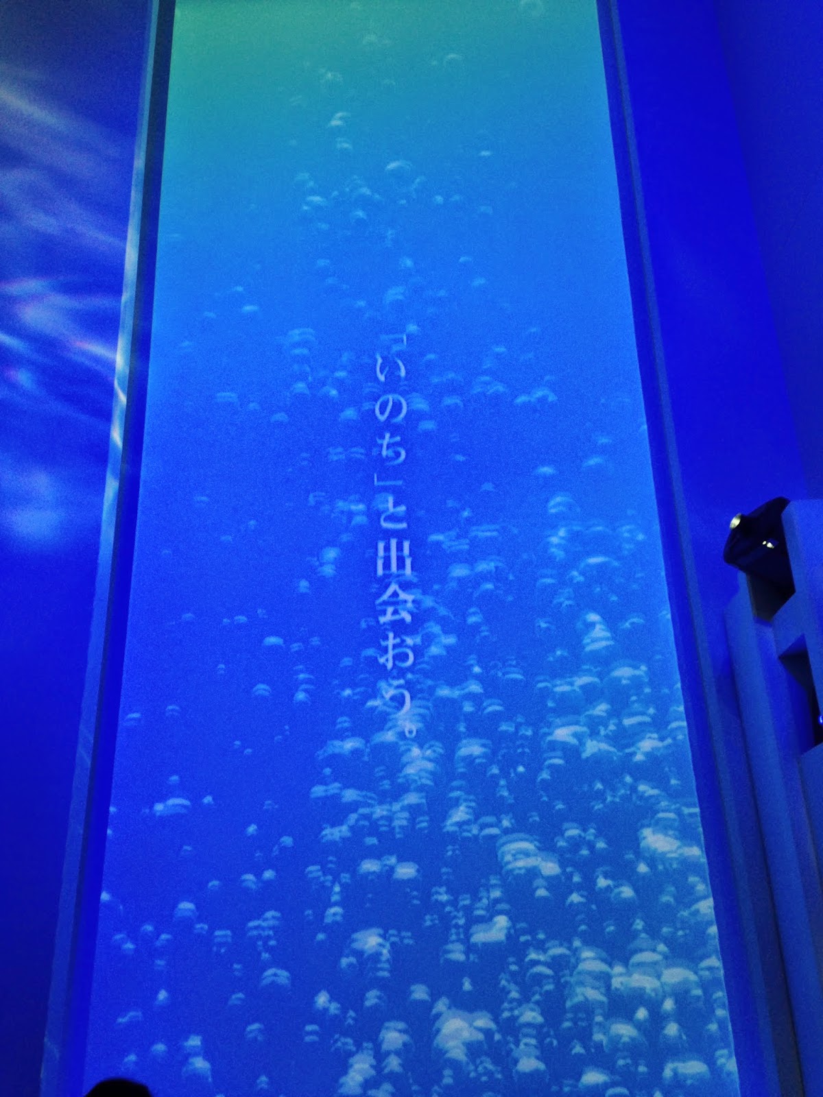 東京 水族館