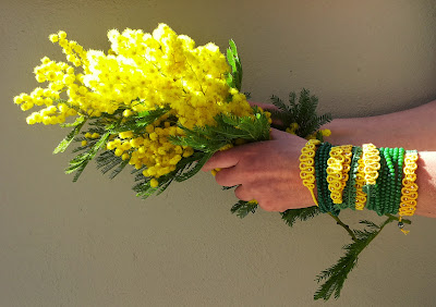 mimosa tra le mani mimosa tra le mani