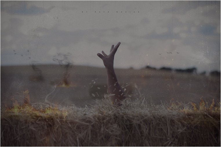 Emerging Photographers, Best Photo of the Day in Emphoka by Rafa Macías, https://flic.kr/p/y2rRaH Emerging Photographers, Best Photo of the Day in Emphoka by Rafa Macías, https://flic.kr/p/y2rRaH