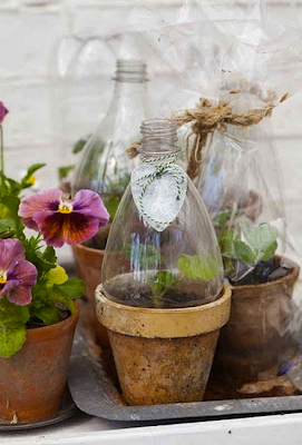 Récup bouteille de soda pour cloche à fleurs Pinterest via Nat et nature
