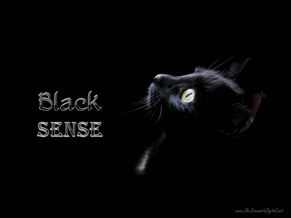 BlackSense
