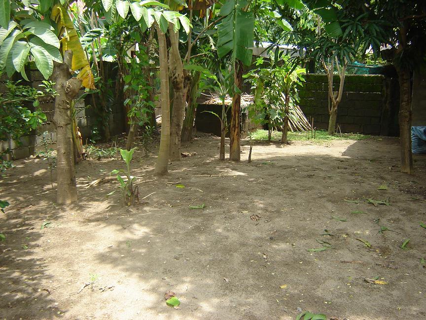 Semideveloped Lot For Sale Mapandan Pangasinan Reynan8 FastLane