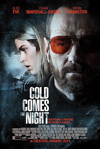 Ver Película En el frío de la noche Online (2013)