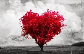 O amor é concreto. Primeiro critério para exercer o amor ágape: amar com as obras e não com as palavras.