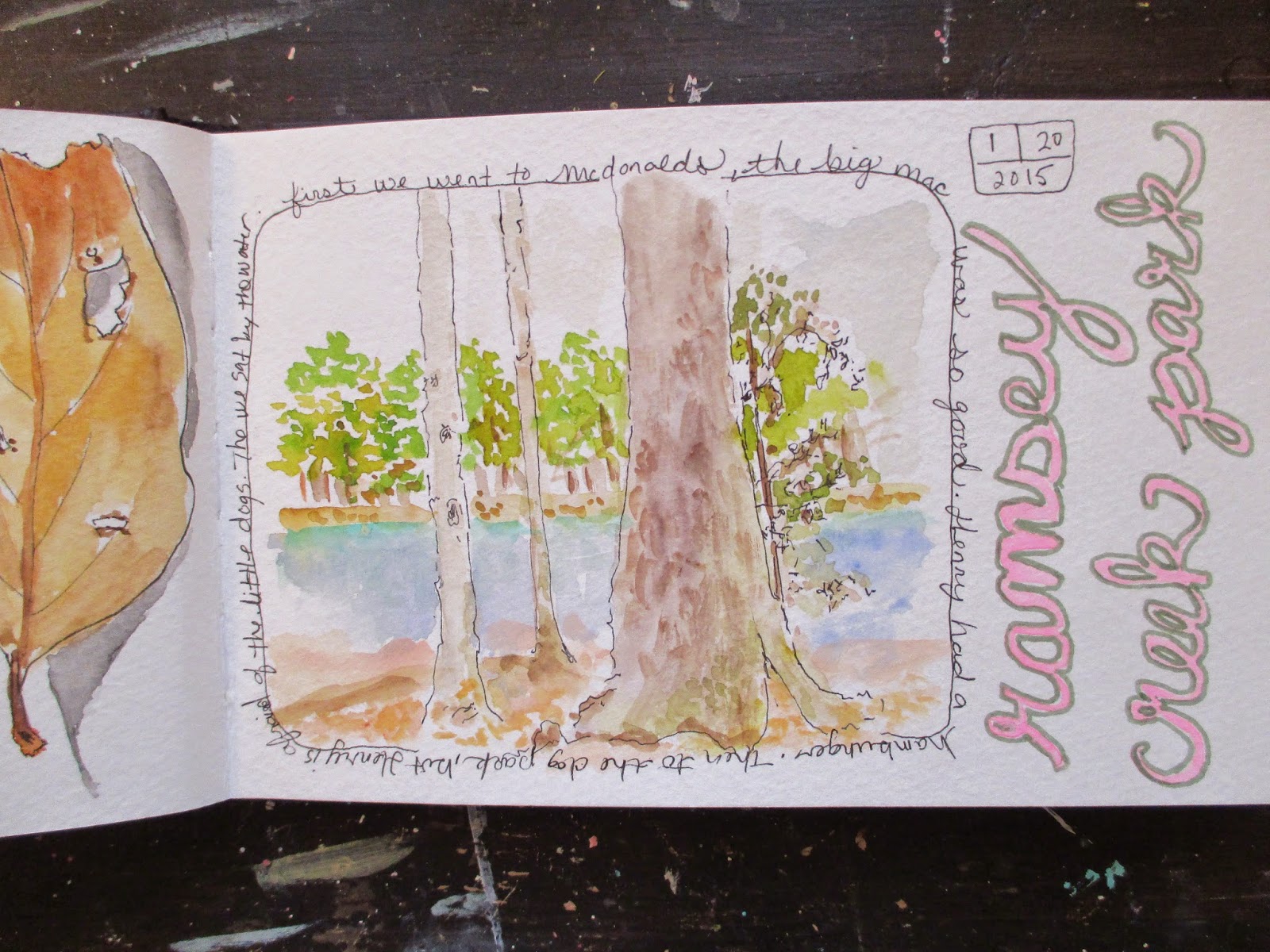 The Painted Flower a new nature sketchbook