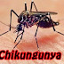 BAHIA / FEIRA DE SANTANA: Sobe para 14 os casos da Febre Chikungunya