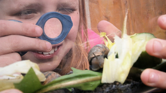 children on a bug hunt