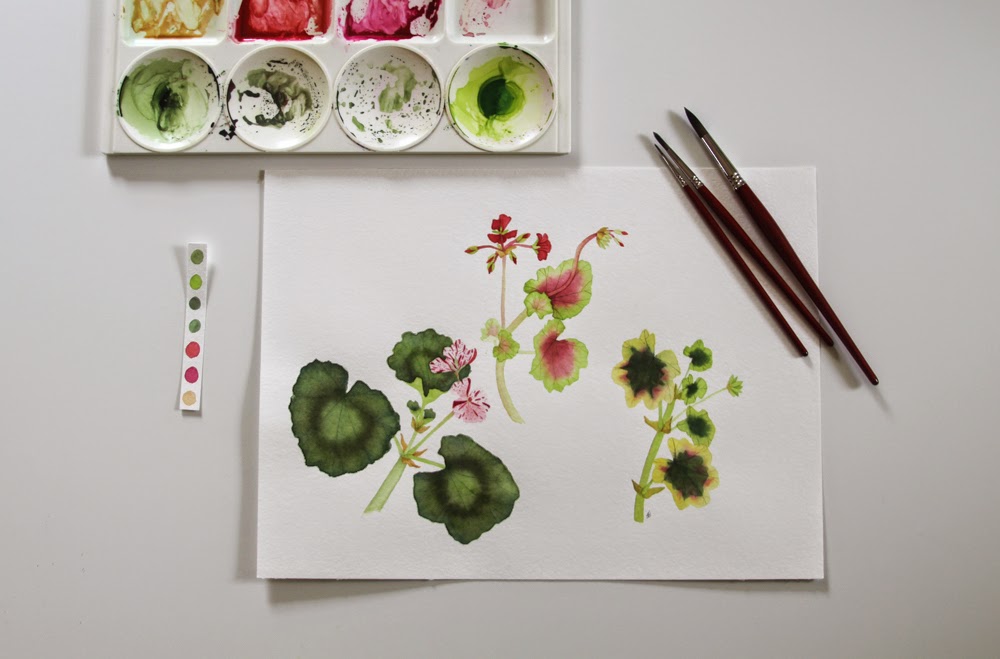 watercolor, watercolor palette, geraniums