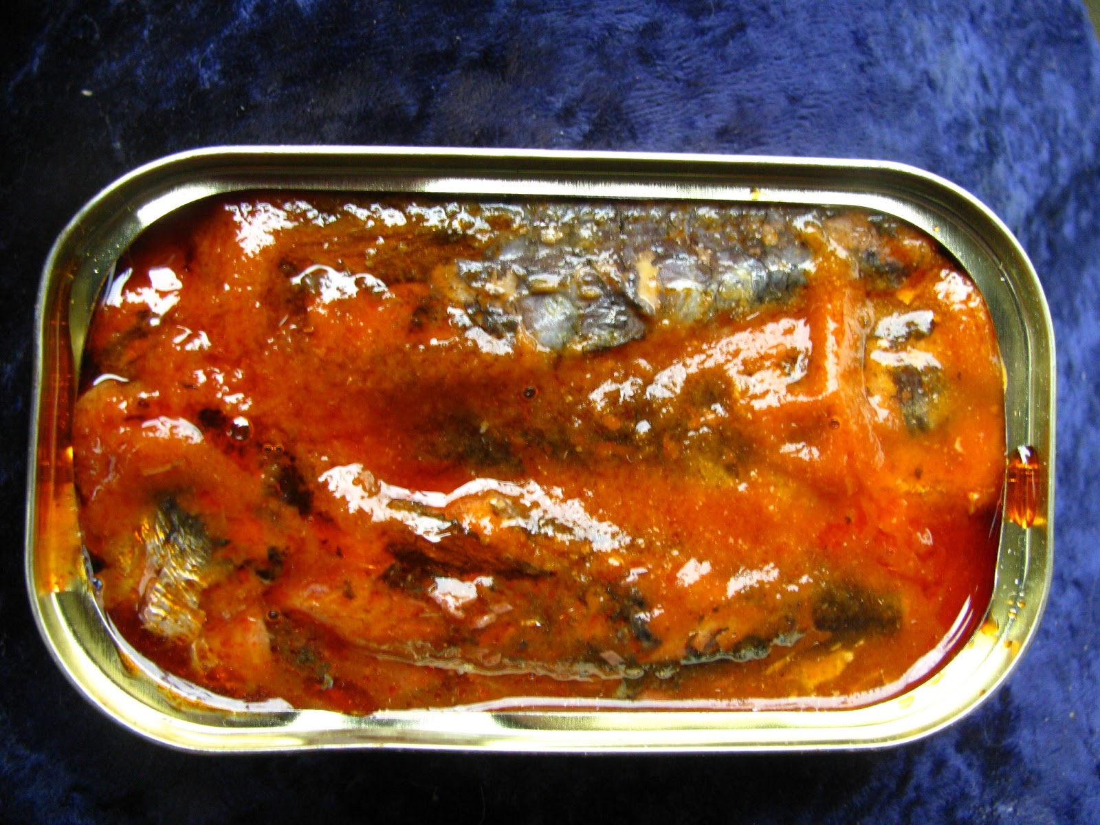 Mouth Full of Sardines NIXE 101