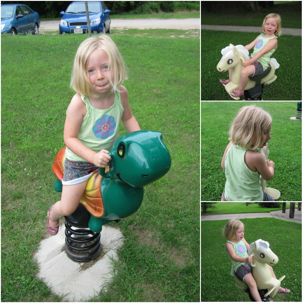 Fake Grass Potty Training Dogs Fake Grass Potty Training Dogs