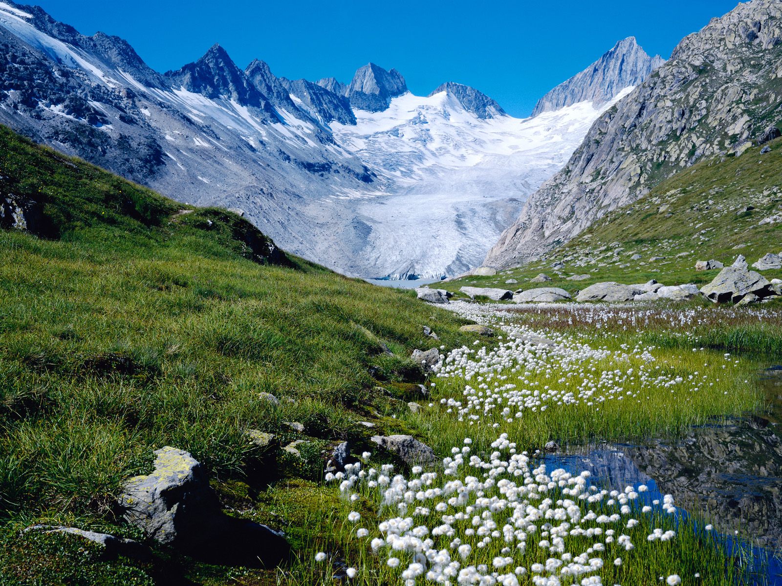 http://4.bp.blogspot.com/-6al1ki2-v14/T7ykaC0dn0I/AAAAAAAAFao/VM1q4ZCOkOI/s1600/Spring-background-05.jpg