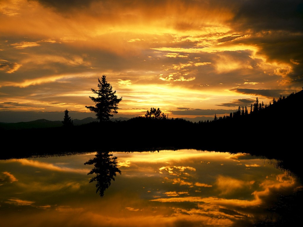 http://4.bp.blogspot.com/-6b5LOLNI4RE/UBxelRQhf8I/AAAAAAAALOU/EJ2G4Nlj4oc/s1600/Fotos+De+Atardecer+-+Wallpapers+%281%29.jpeg