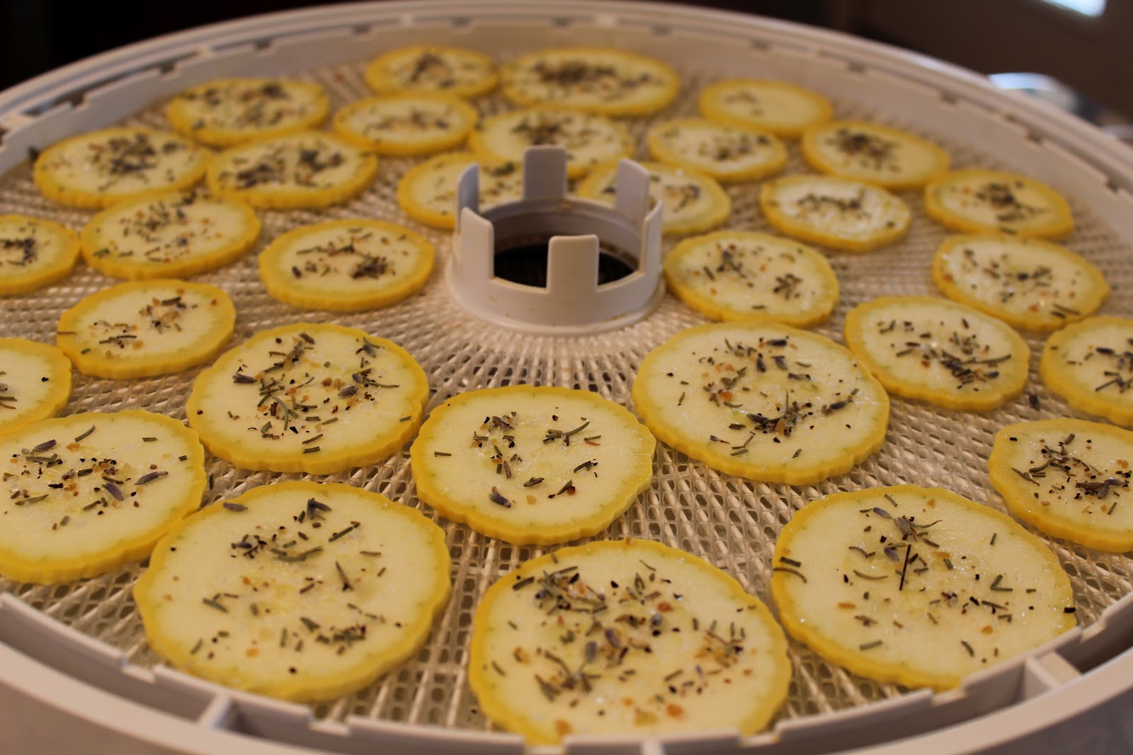 Food Garden Recipes Yellow Squash Chips