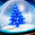 Fondo de Pantalla Navidad Arbol azul en una cupula
