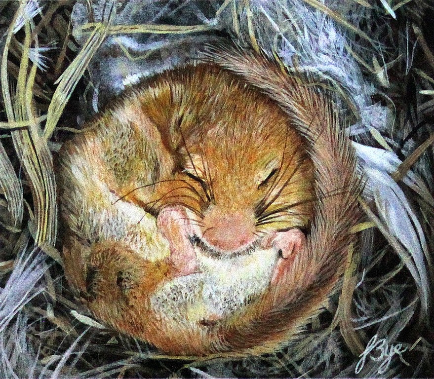 Holy Ordinary The Sacraments of Everyday Life Prayer for a Field