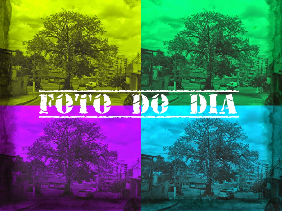 Foto do Dia by blog Sem H