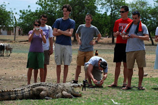 Paga Crocodile Pond In Ghana, Alligator, Crocodile Photos, Amazing Facts, Shocking News