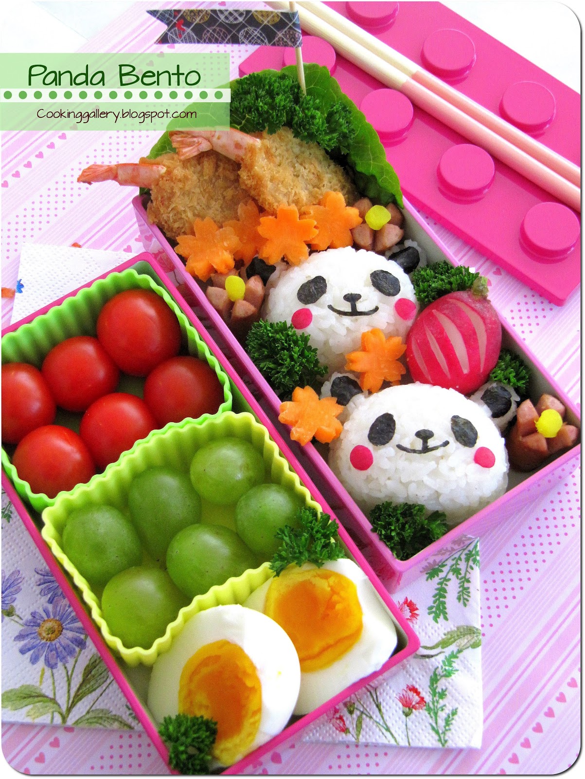 Download this Panda Bento For Beginners picture
