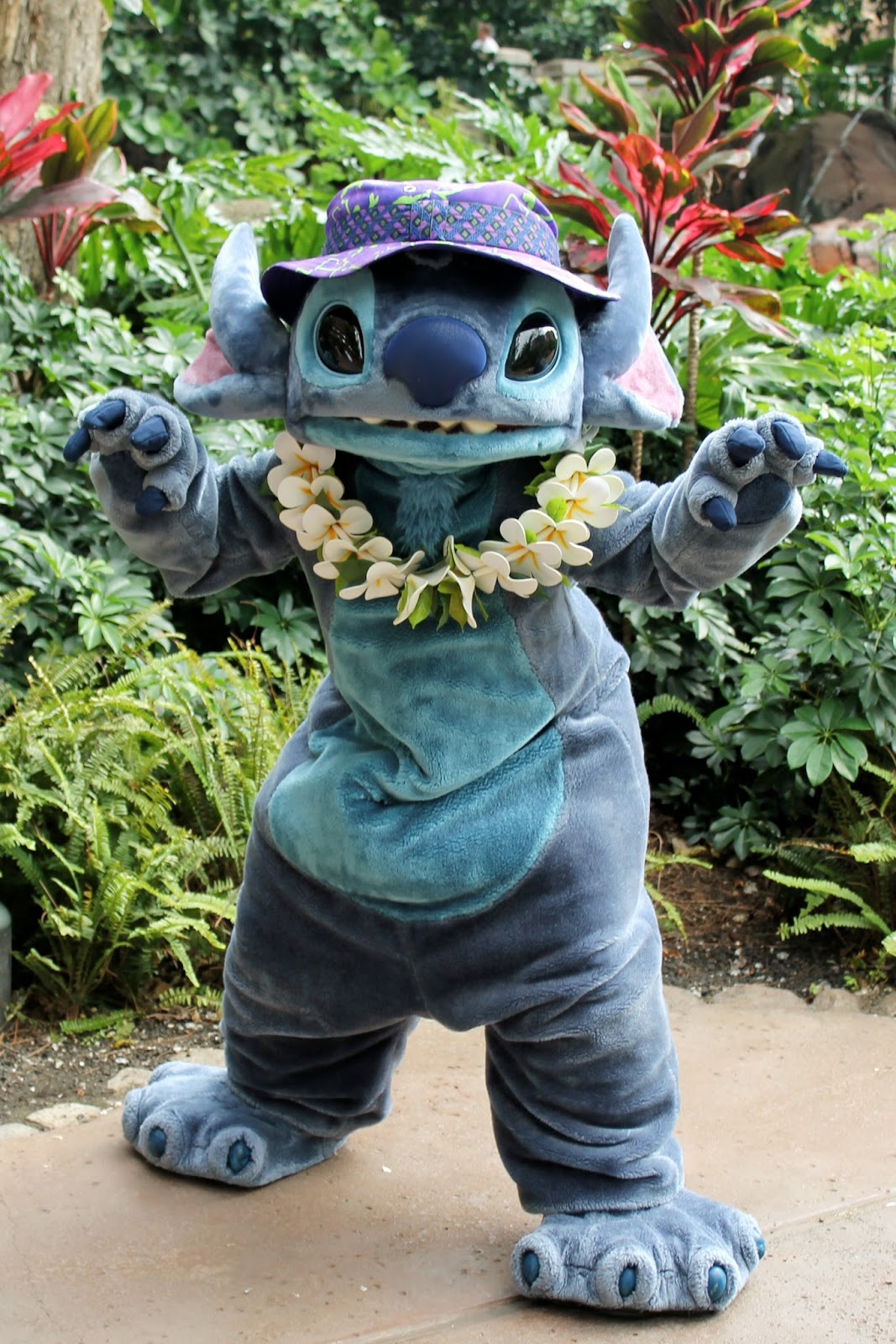 Seasons four orlando disney resort walt hotel rooms golden oak king inside guest layout double florida fourseasons park luxury anticipated Unofficial Disney Character Hunting Guide: Disney's Aulani Resort-Ko