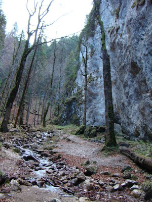 Canionul Sapte Scari, Muntele Mare