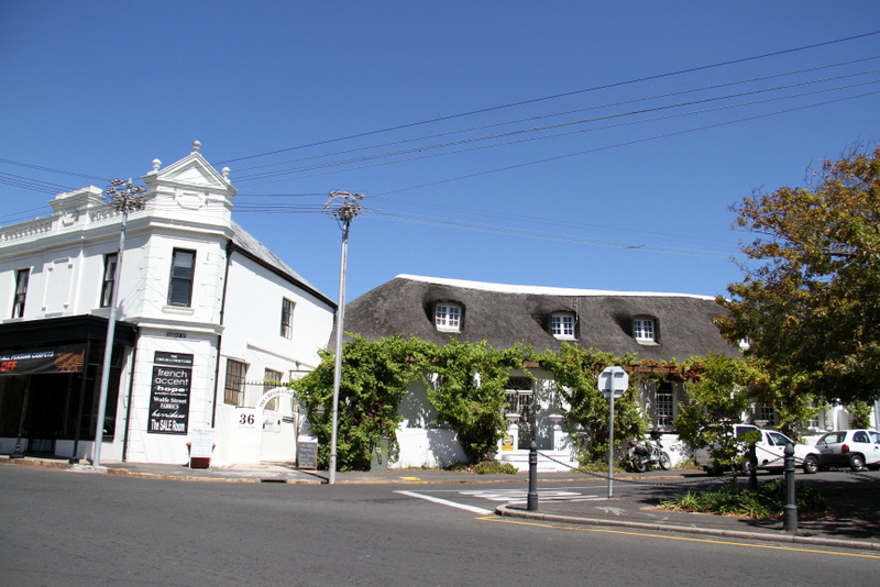 Under our own olive tree When in Cape Town.. The Chelsea Courtyard
