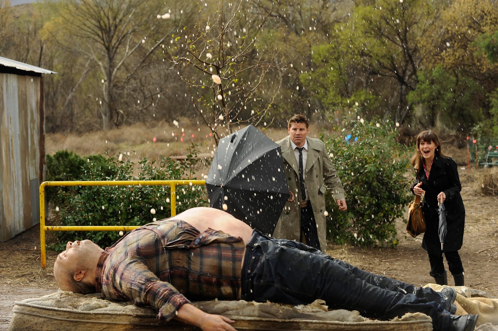 the body farm