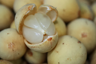 Buah Duku Gambar Buah Duku