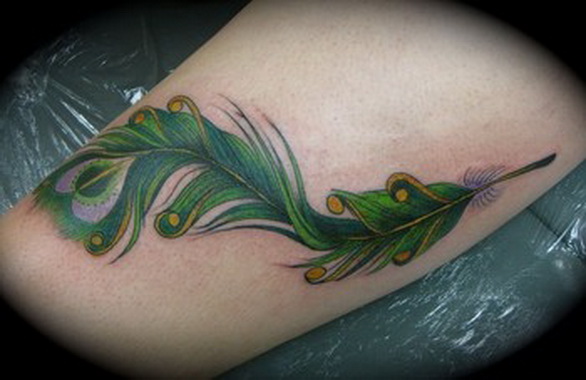 Peacock feather tattoo designs Peacock feather tattoo designs