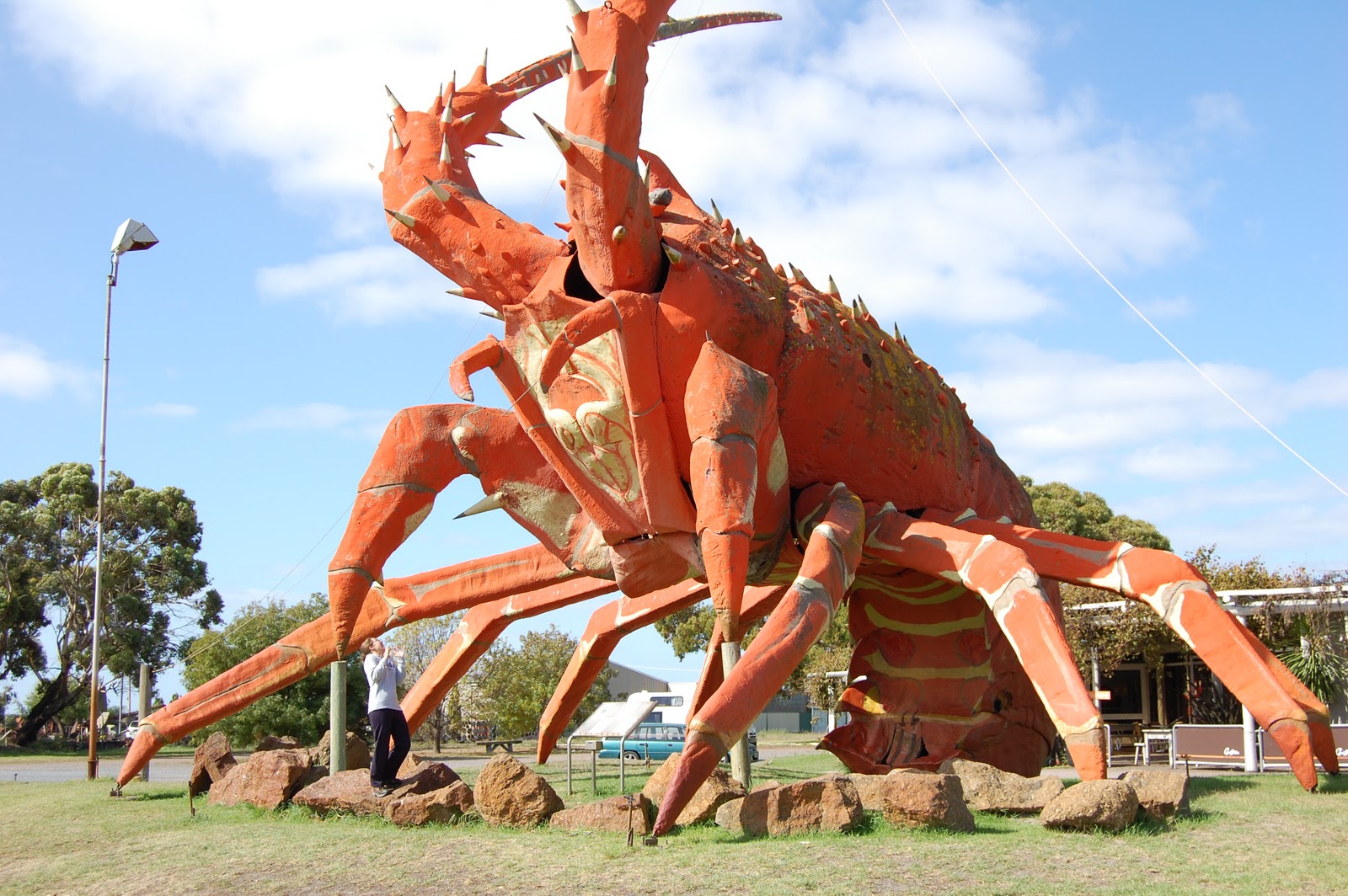 Big Lobster Pictures