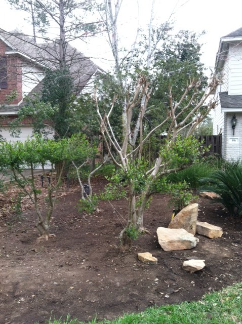 Jason's Japanese Gardens: Front Yard - Japanese Garden