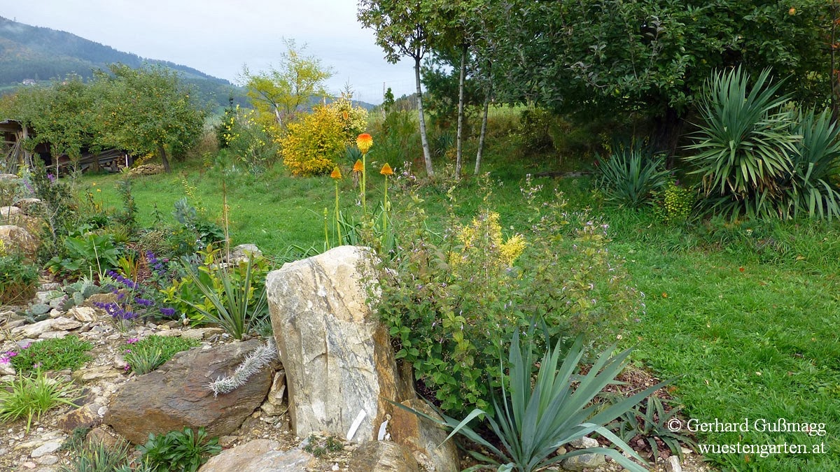 Der Wüstengarten: Oktober 2013