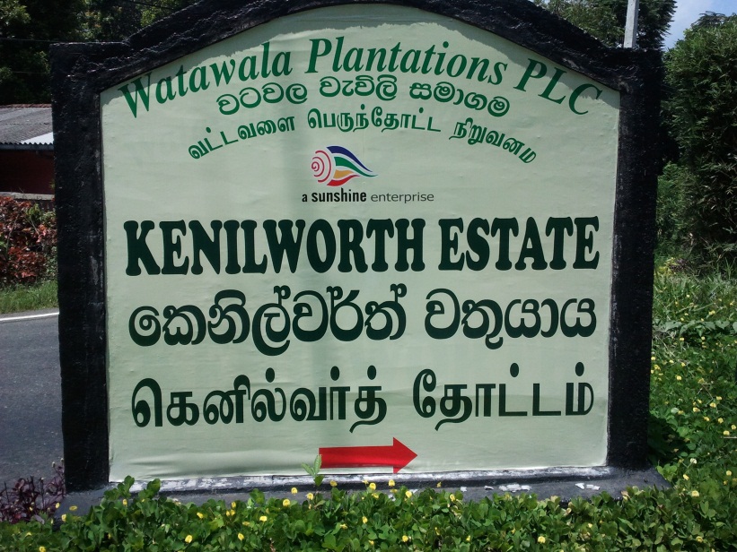 Estates Of Watawala Plantations PLC Kenilworth Estate