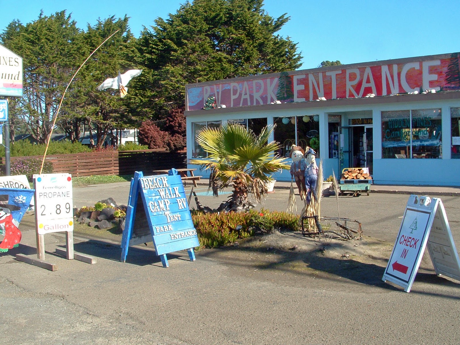 Hidden Pines RV Park Campground Fort Bragg California Fort Bragg